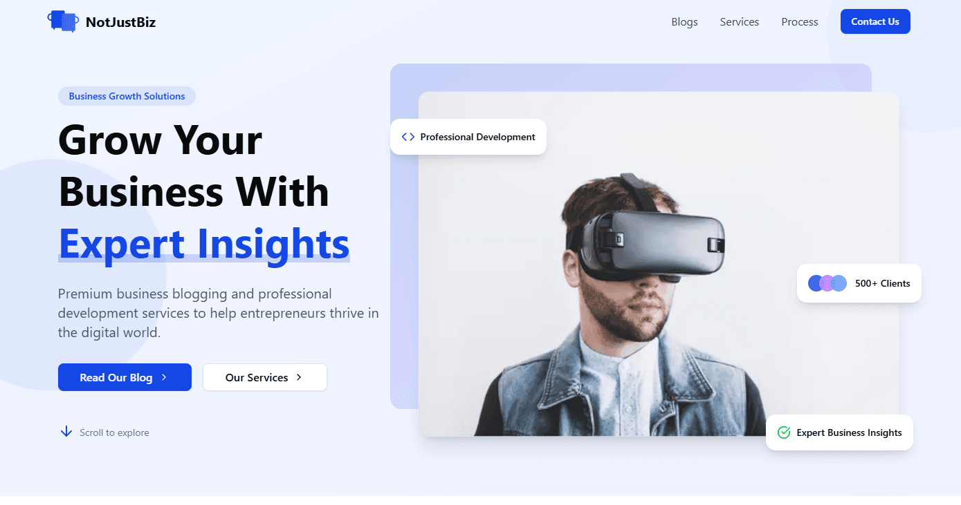 NotJustBiz Website Mockup