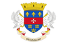 Flag of Saint Barthélemy