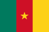 Flag of Cameroon